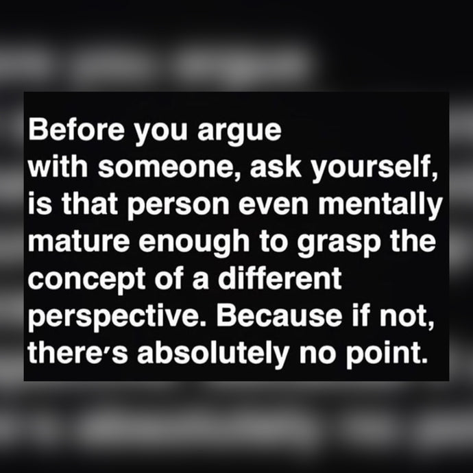 Arguing With Someone ⚡️