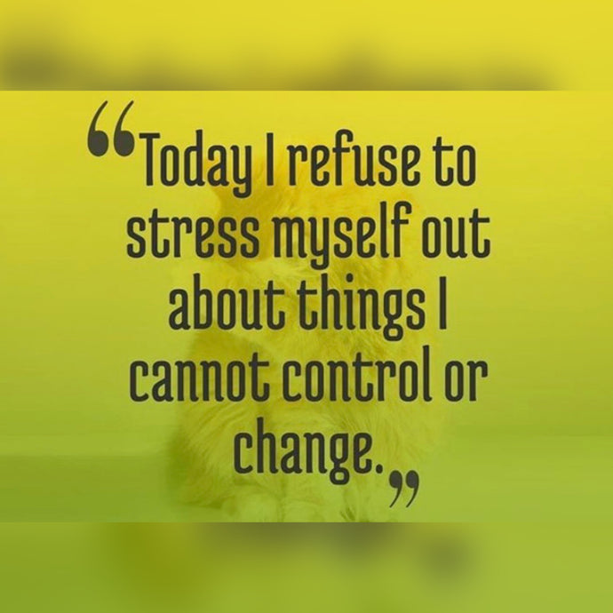 Today I Refuse ⚡️