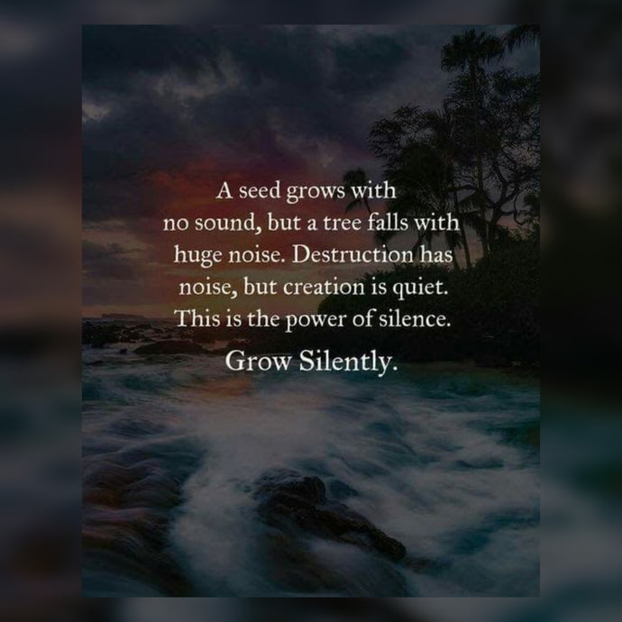 Grow Silently ☄️