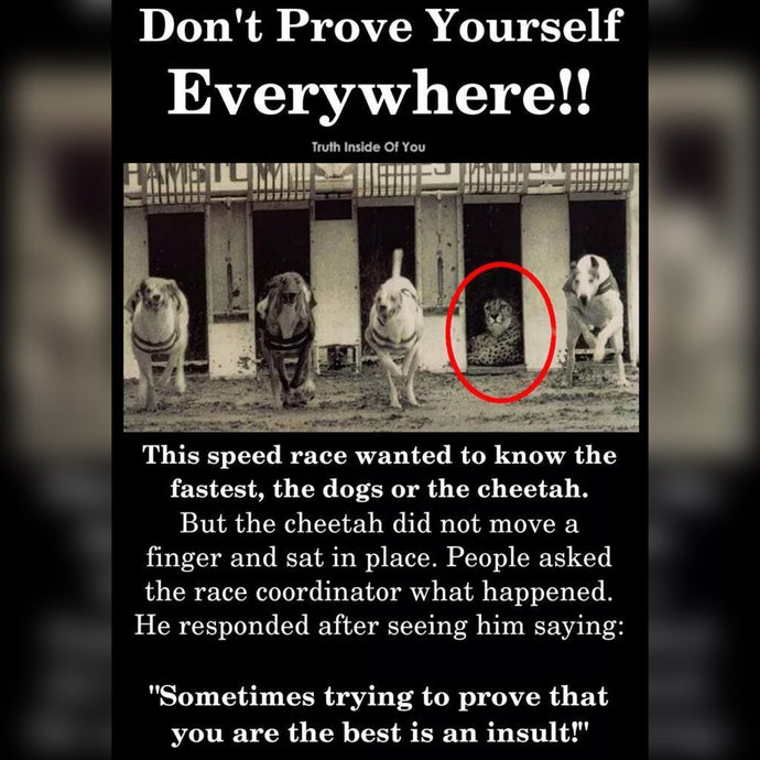 Don't Prove Yourself ⚡️