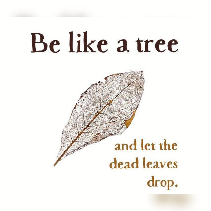 Be Like A Tree ⚡️